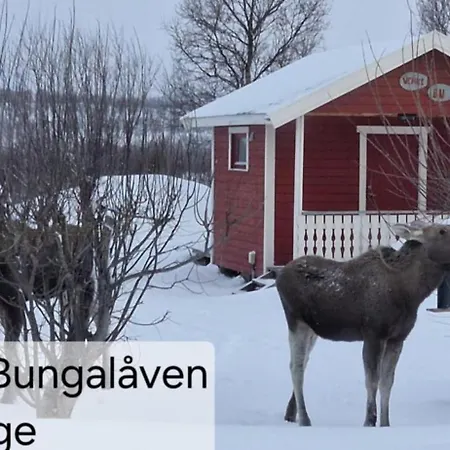 Bungalaven As * Børselv