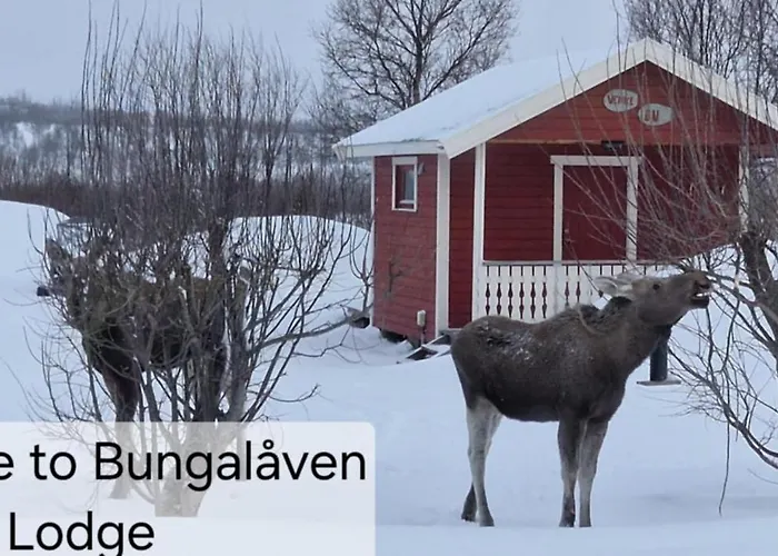 Bungalaven As * Børselv